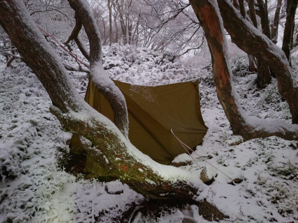2023年11月の鈴鹿山脈で雪が降ったツェルト泊の朝