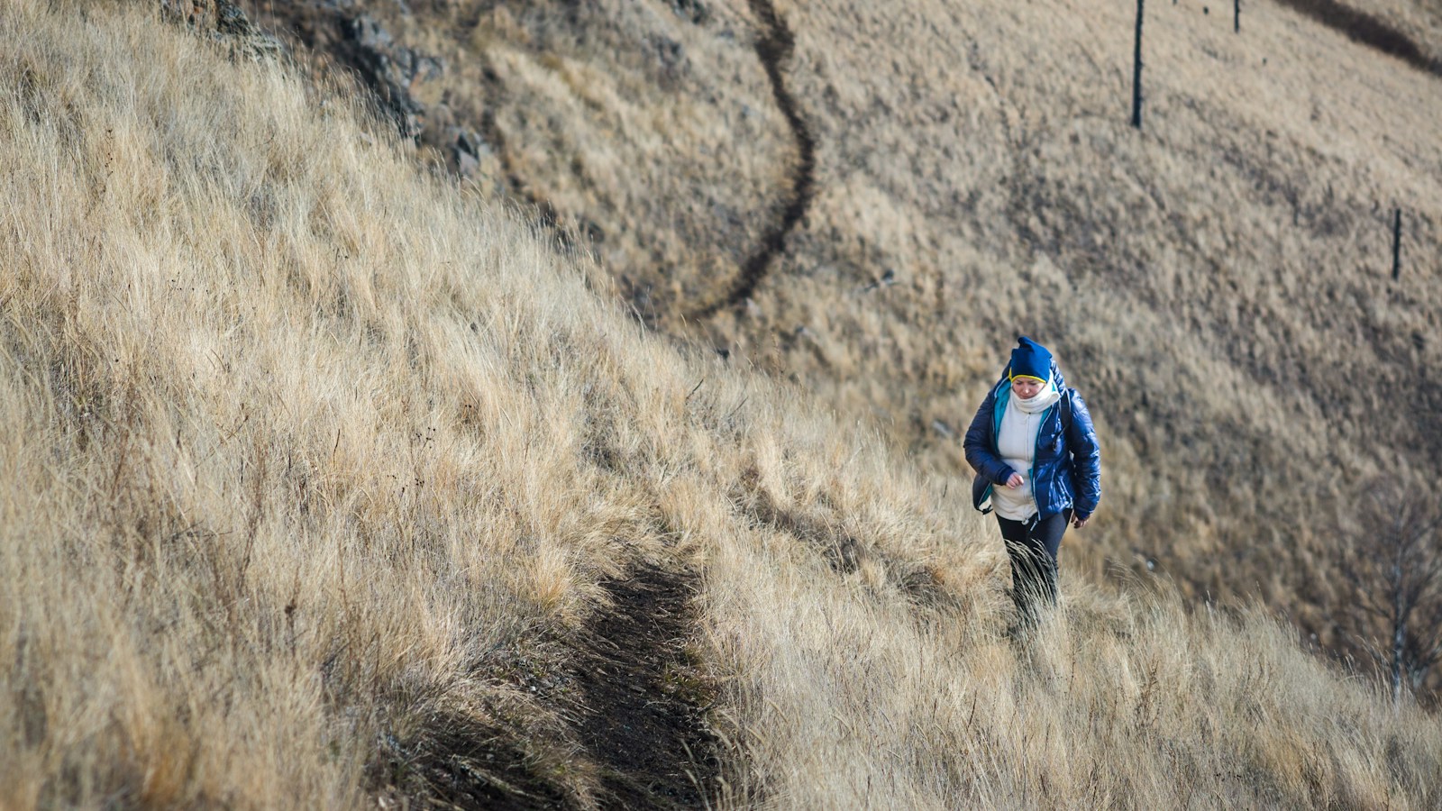 冬の低山を歩く登山者